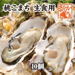 生食用　殻付き牡蠣「桃こまち」軍手・ナイフ付[牡蠣]（入数:10個）|牡蠣|貝類
