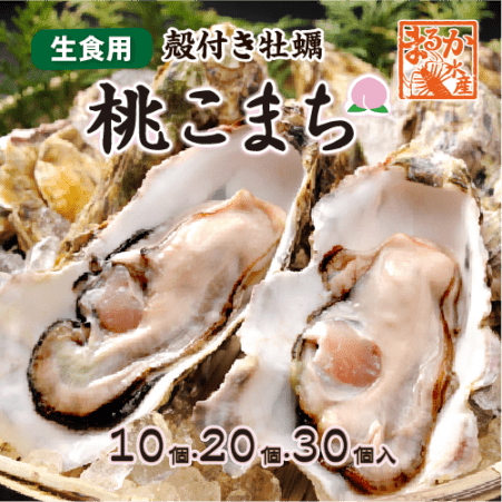 生食用 殻付き牡蠣「桃こまち」軍手・ナイフ付[牡蠣]