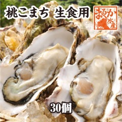 生食用　殻付き牡蠣「桃こまち」軍手・ナイフ付[牡蠣]（入数:30個）|牡蠣|貝類
