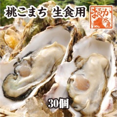 桃こまち　殻付き牡蠣　生食用　30個 [牡蠣]|牡蠣|貝類