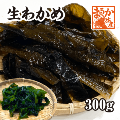 生わかめ　300ｇ[わかめ]|伊勢志摩の特産品