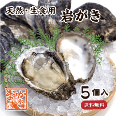 天然 生食用岩がき 400/450g（期間限定★）軍手、ナイフ付[岩ガキ]（入数:5個）|牡蠣|貝類