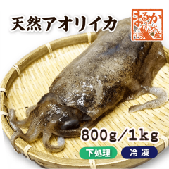 天然アオリイカ　国産　Lサイズ 800g/1kg 冷凍[魚介類]|甲殻類（エビ・イカ・タコ・カニ）