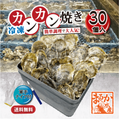 【牡蠣のカンカン焼き】冷凍 殻付き牡蠣／桃こまち 30個 [牡蠣]|簡単調理　カンカン焼き