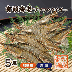 冷凍 有頭ブラックタイガー[冷凍海老]（入数：5尾）|甲殻類（エビ・イカ・タコ）