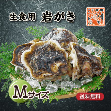 生食用 岩がき Mサイズ(200/250g）軍手・ナイフ付★[イタボ牡蠣]