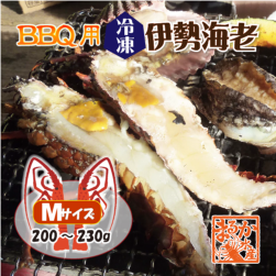 BBQ用 冷凍伊勢海老 200～230g Mサイズ ハーフカット [活〆伊勢海老]