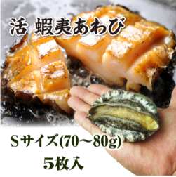 活蝦夷あわび 70～80g Sサイズ [あわび]（入数:5枚　★）