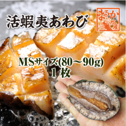 活 蝦夷あわび 80～90g MSサイズ[あわび]（入数:1枚）