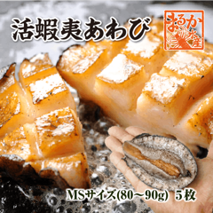 活 蝦夷あわび 80〜90g MSサイズ[あわび]（入数:5枚 ★）|蝦夷あわび|あわび