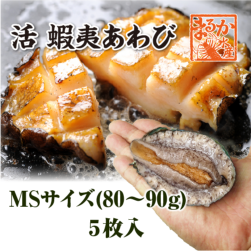 活 蝦夷あわび 80～90g MSサイズ[あわび]（入数:5枚 ★）