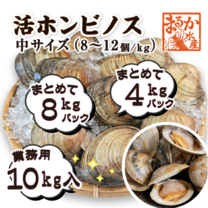 活 ホンビノス貝 中サイズ（8～12個）