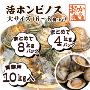 活 ホンビノス貝 大サイズ（6～8個）