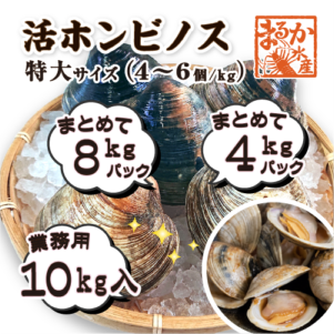 活 ホンビノス貝 特大サイズ（4～6個）