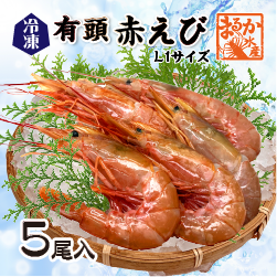 冷凍 有頭赤えび[冷凍海老]（入数：5尾）|甲殻類（エビ・イカ・タコ）