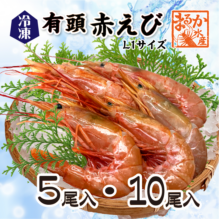 冷凍 有頭赤えび[冷凍海老]