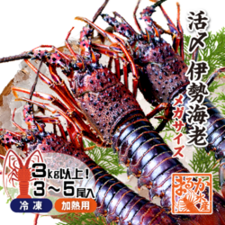 □活〆伊勢海老（冷凍加熱用）メガサイズ 3～5尾入 3kg以上 ★ [冷凍伊勢海老]