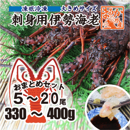 刺身用伊勢海老 凍眠冷凍 大きめサイズ 330〜400g [刺身用伊勢海老]|刺身用凍眠冷凍|伊勢海老