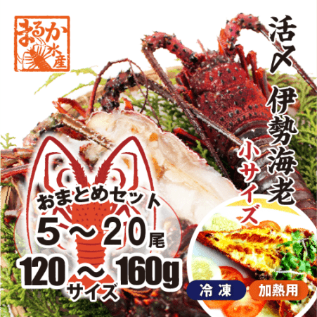 活〆伊勢海老（冷凍加熱用）小サイズ 120〜160g [冷凍伊勢海老]|活〆冷凍（加熱用）|伊勢海老
