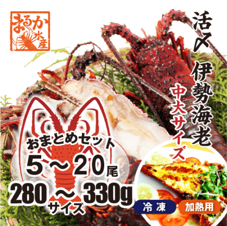 活〆伊勢海老（冷凍加熱用）中大サイズ 280～330g [冷凍伊勢海老]