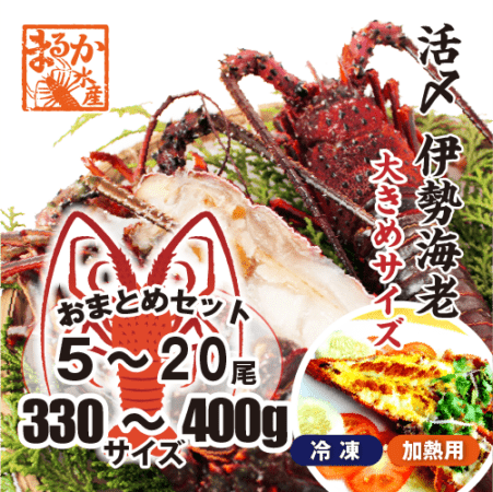活〆伊勢海老（冷凍加熱用）大きめサイズ 330～400g [冷凍伊勢海老]