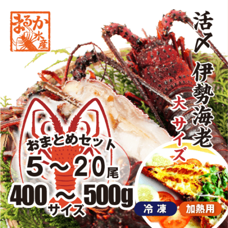 活〆伊勢海老（冷凍加熱用）大サイズ 400～500g ★[冷凍伊勢海老]