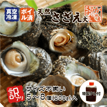 冷凍 天然さざえ ボイル済 訳あり（サイズ不揃い） 特製たれ付 [ボイルサザエ]（100～180g×5～8個入）