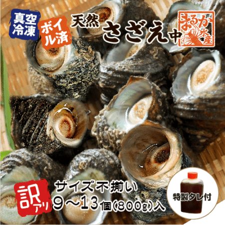 冷凍 天然さざえ ボイル済 訳あり（サイズ不揃い） 特製たれ付 [ボイルサザエ]（60～100g×9～13個入）