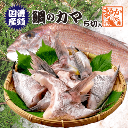冷凍 鯛のカマ（国産養殖）5切入 [魚介類]