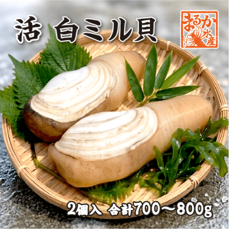 貝類,その他の貝 | まるか水産公式オンラインショップ