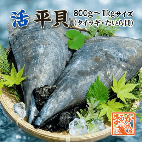 貝類,その他の貝 | まるか水産公式オンラインショップ