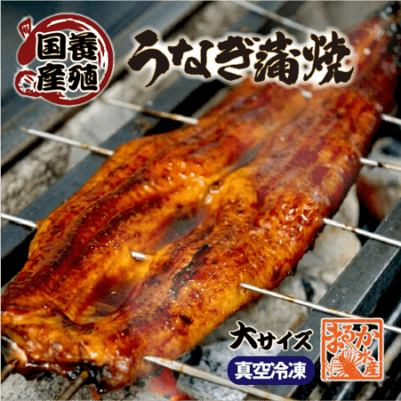 □うなぎ蒲焼き 国産 冷凍 大サイズ[鰻蒲焼]