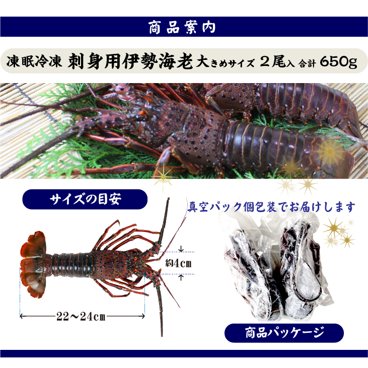刺身用伊勢海老 凍眠冷凍 大きめサイズ 2尾入 650g ★[刺身用伊勢海老]