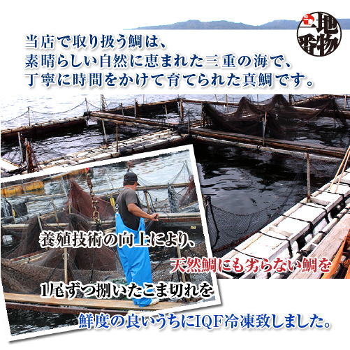 □冷凍 鯛のこま切れ 200g入[魚介類]
