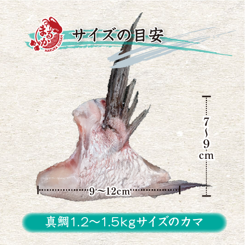 冷凍 鯛のカマ（国産養殖）5切入 [魚介類]