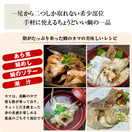冷凍 鯛のカマ（国産養殖）5切入 [魚介類]