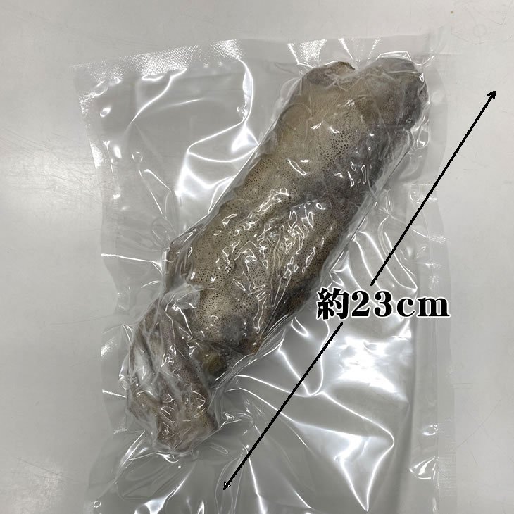 天然アオリイカ　国産　Mサイズ　600/800g冷凍[魚介類]