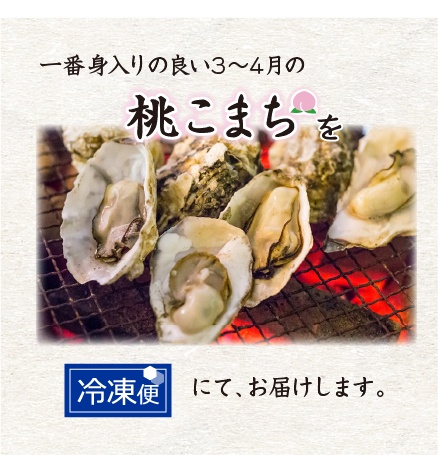 冷凍 殻付牡蠣「桃こまち」加熱用 [牡蠣]（入数:5個）