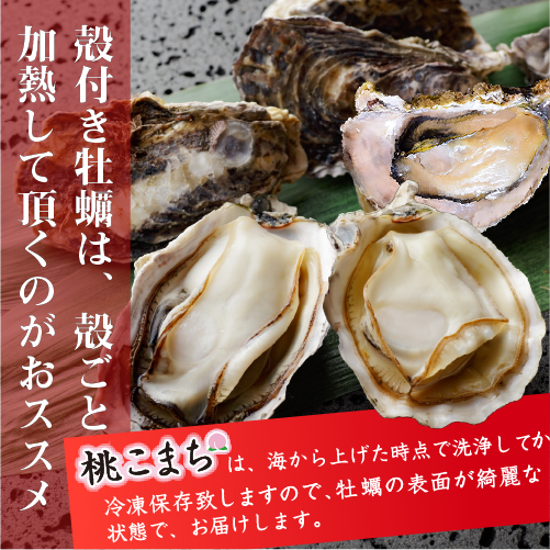冷凍 殻付牡蠣「桃こまち」加熱用 [牡蠣]（入数:5個）