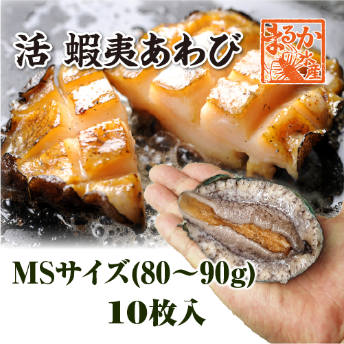 活 蝦夷あわび 80～90g MSサイズ[あわび]（入数:10枚 ☆） | あわび