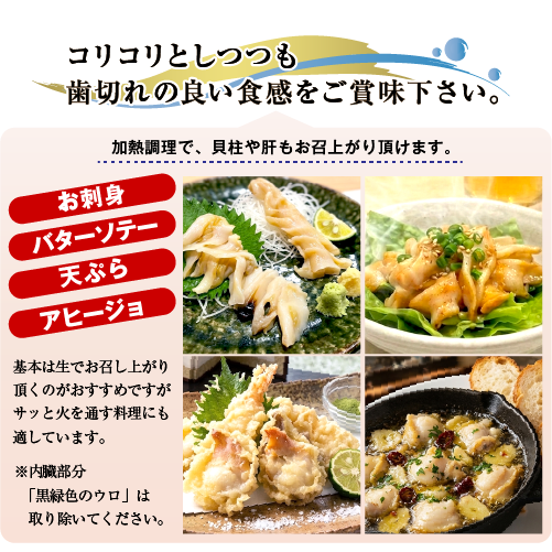 活 白ミル貝（ナミガイ/波貝）［活貝］（入数：2個 合計 700～800g）