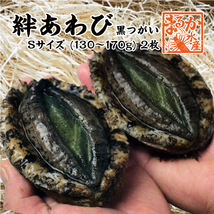今日のこの日に感謝します！アワビ。 絆あわび（天然黒あわびのつがいセット）Sサイズ 130～170g 2枚