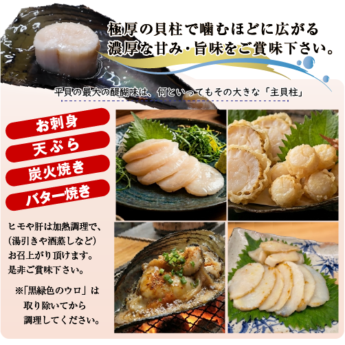 活 タイラギ（平貝/たいら貝）800g～1kgサイズ［活貝］