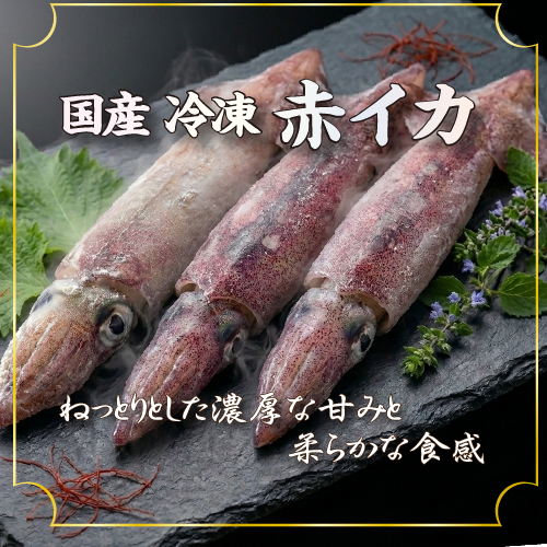 □冷凍 国産 赤イカ（剣先イカ）[冷凍烏賊]