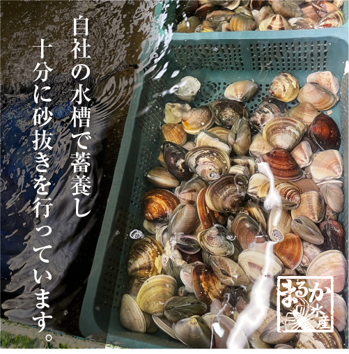 冷凍 はまぐり 中大サイズ 50～80g（13～18個/kg）[はまぐり]（入数:まとめて 4パック 4kg入★）