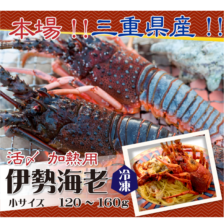 活〆伊勢海老（冷凍加熱用）小サイズ 120～160g [冷凍伊勢海老]（入数：1尾）