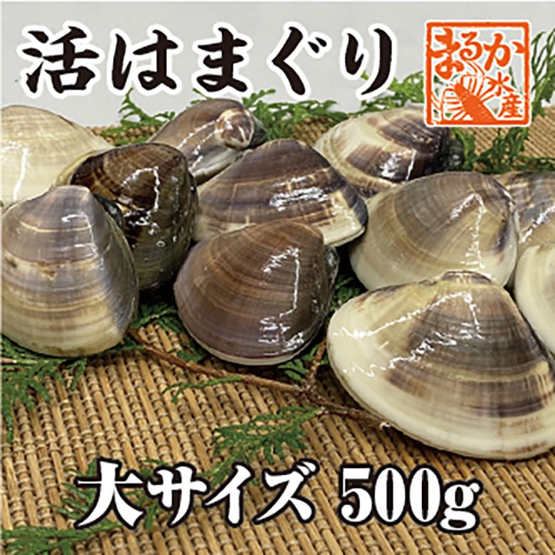 活はまぐり　大サイズ 70ｇ～100ｇ　5～7個 　500ｇ分　国産　[はまぐり]