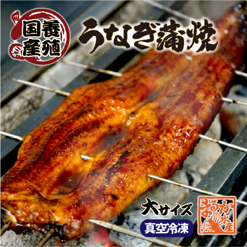 □うなぎ蒲焼き 国産 冷凍 大サイズ[鰻蒲焼]