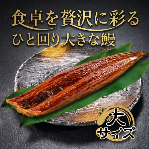 □うなぎ蒲焼き 国産 冷凍 大サイズ[鰻蒲焼]