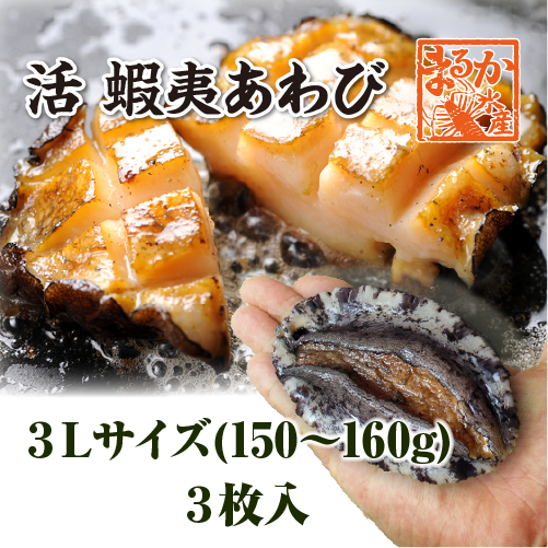 活 蝦夷あわび 150～160g 3Lサイズ[あわび]（入数:3枚